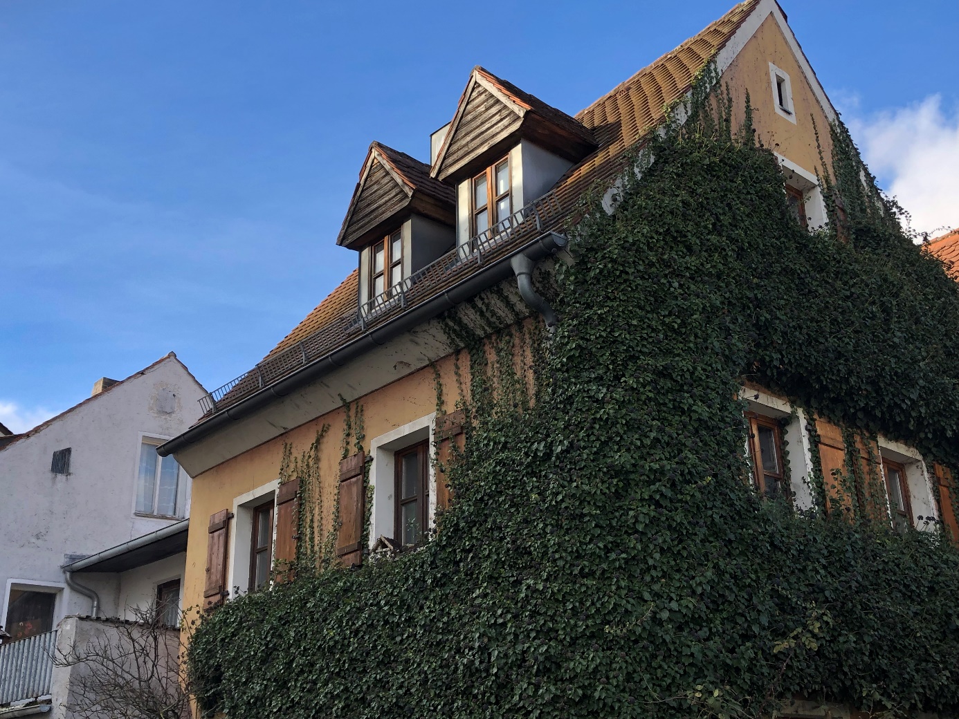 Dörfliches Reinhausen Dörfliches Reinhausen