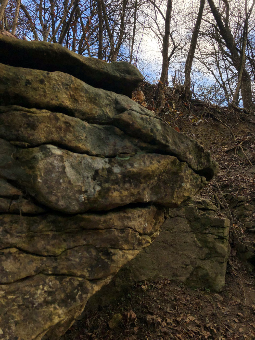 Aberdeen Park – Dino oder Felsen? Aberdeen Park – Dino oder Felsen?