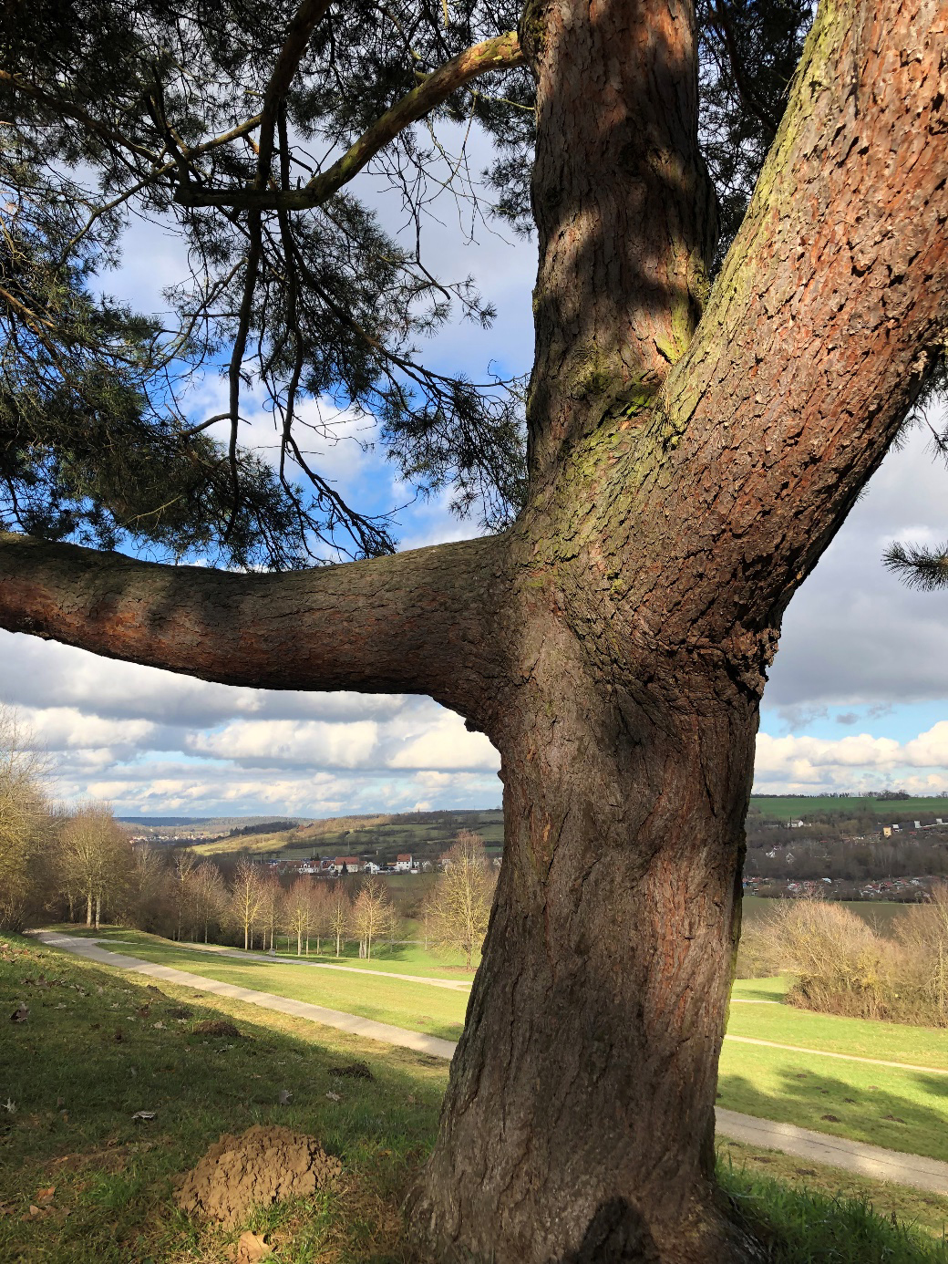 Blick ins Regental mit Gallingkofen Blick ins Regental mit Gallingkofen